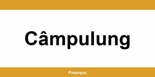 Contacte imediate Ship & Go Cargus din Câmpulung