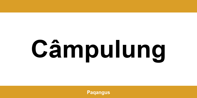 Contacte imediate Ship & Go Cargus din Câmpulung