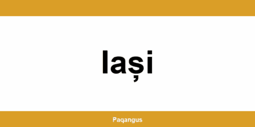 Contacte imediate Ship & Go Cargus din Iași