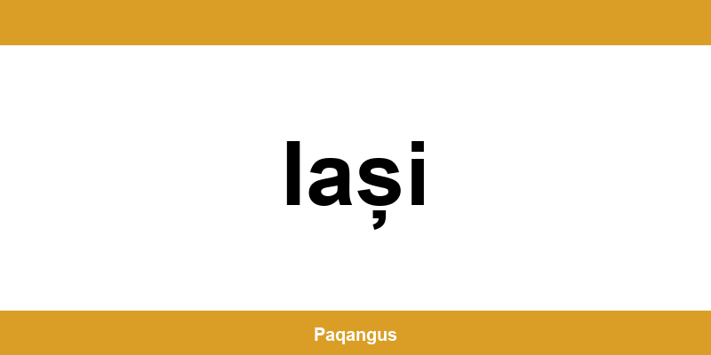 Contacte imediate Ship & Go Cargus din Iași