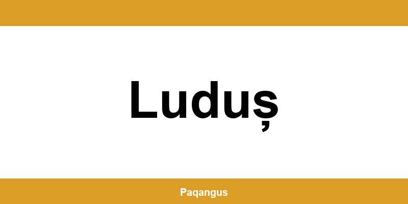 Contacte imediate Ship & Go Cargus din Luduș