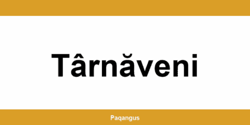 Contacte imediate Ship & Go Cargus din Târnăveni