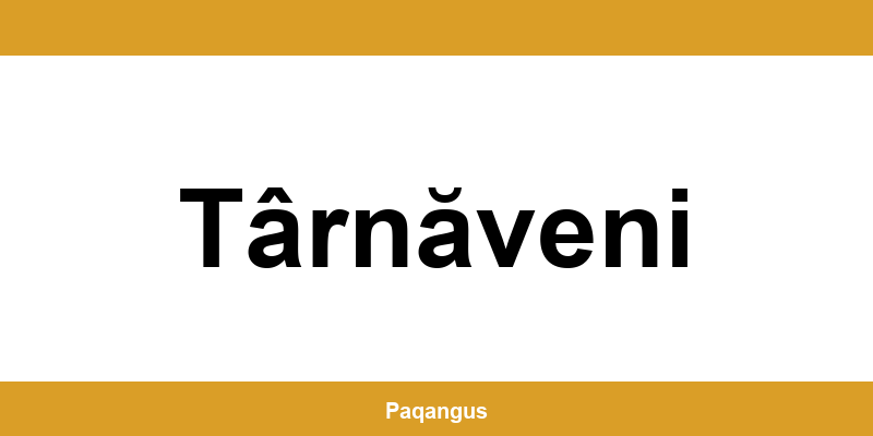 Contacte imediate Ship & Go Cargus din Târnăveni