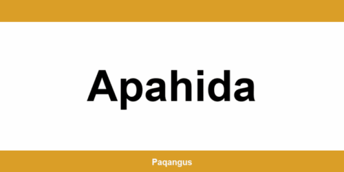 Contacte imediate Ship & Go Cargus din Apahida