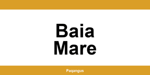 Contacte imediate Ship & Go Cargus din Baia Mare