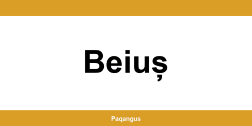 Contacte imediate Ship & Go Cargus din Beiuș