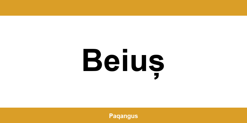 Contacte imediate Ship & Go Cargus din Beiuș
