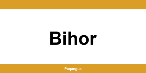 Contacte imediate Ship & Go Cargus din Bihor