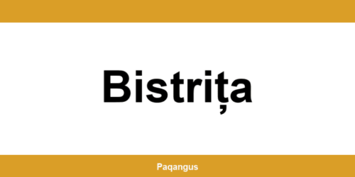Contacte imediate Ship & Go Cargus din Bistrița