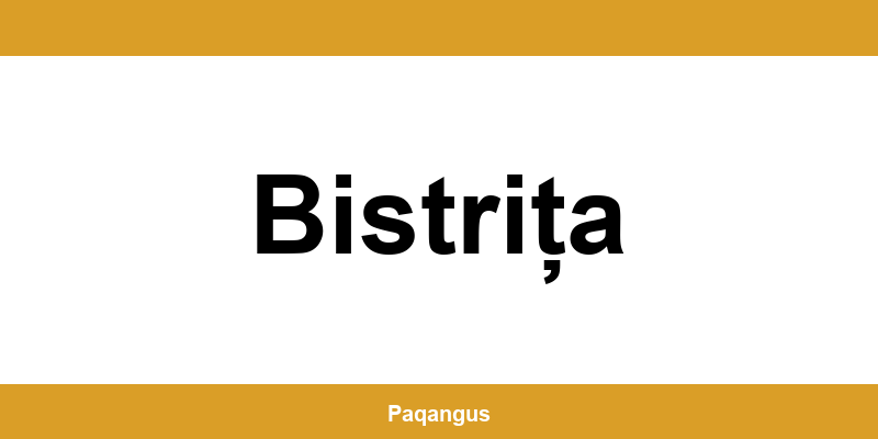 Contacte imediate Ship & Go Cargus din Bistrița