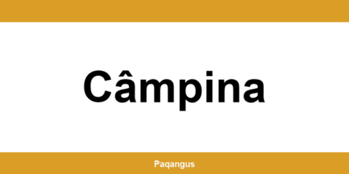 Contacte imediate Ship & Go Cargus din Câmpina