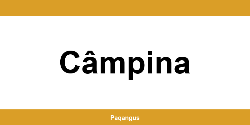 Contacte imediate Ship & Go Cargus din Câmpina
