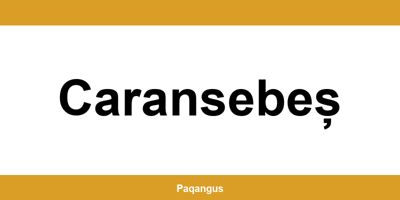 Contacte imediate Ship & Go Cargus din Caransebeș