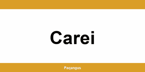 Contacte imediate Ship & Go Cargus din Carei