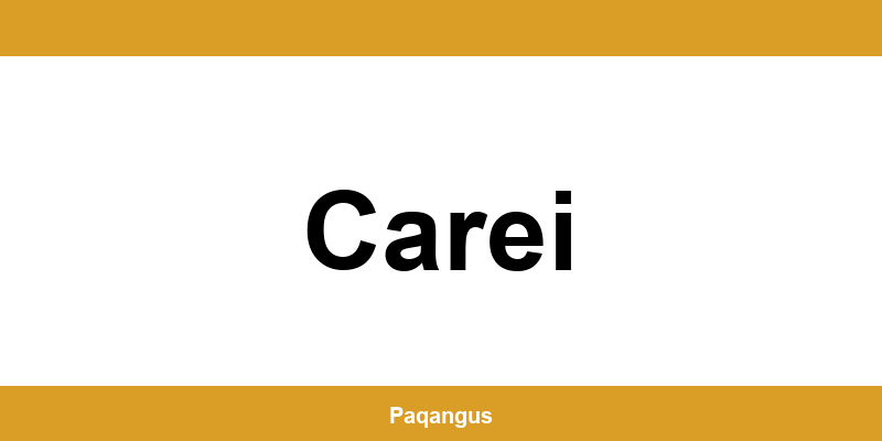 Contacte imediate Ship & Go Cargus din Carei