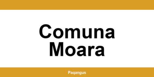 Contacte imediate Ship & Go Cargus din Comuna Moara