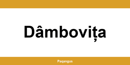 Contacte imediate Ship & Go Cargus din Dâmbovița