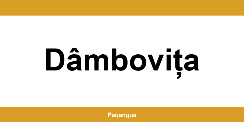 Contacte imediate Ship & Go Cargus din Dâmbovița