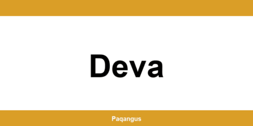 Contacte imediate Ship & Go Cargus din Deva