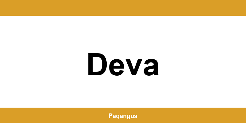 Contacte imediate Ship & Go Cargus din Deva