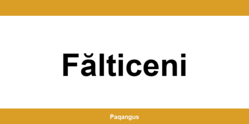 Contacte imediate Ship & Go Cargus din Fălticeni