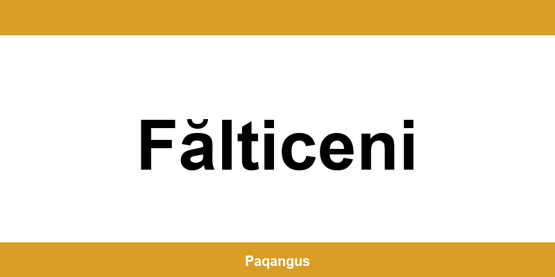 Contacte imediate Ship & Go Cargus din Fălticeni
