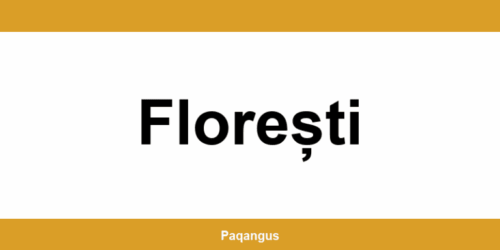 Contacte imediate Ship & Go Cargus din Florești