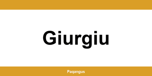 Contacte imediate Ship & Go Cargus din Giurgiu