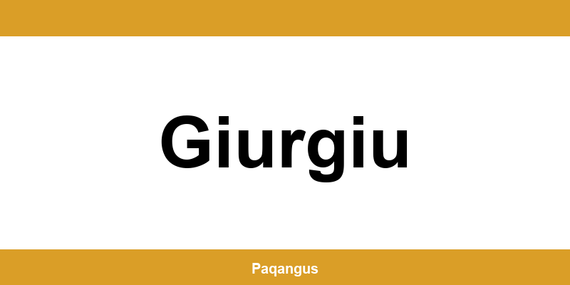 Contacte imediate Ship & Go Cargus din Giurgiu