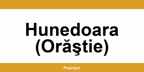 Contacte imediate Ship & Go Cargus din Hunedoara (Orăştie)