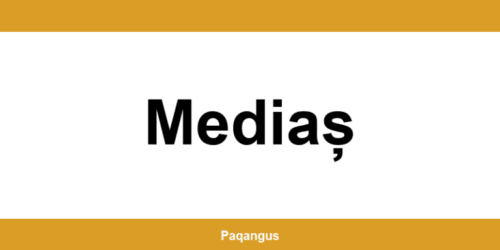 Contacte imediate Ship & Go Cargus din Mediaș