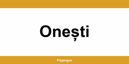 Contacte imediate Ship & Go Cargus din Onești