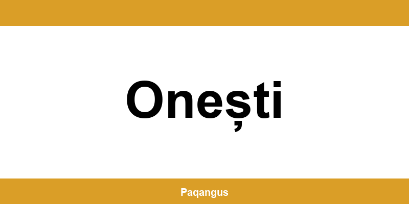 Contacte imediate Ship & Go Cargus din Onești