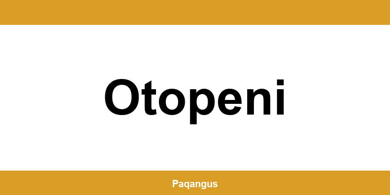 Contacte imediate Ship & Go Cargus din Otopeni