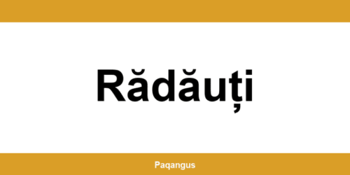 Contacte imediate Ship & Go Cargus din Rădăuți