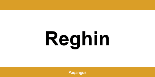 Contacte imediate Ship & Go Cargus din Reghin