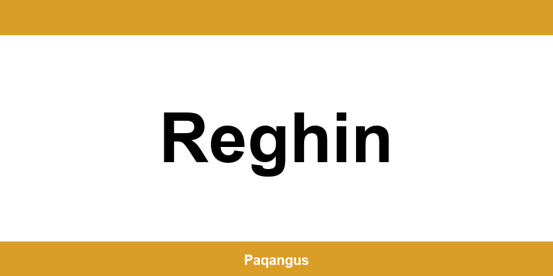 Contacte imediate Ship & Go Cargus din Reghin