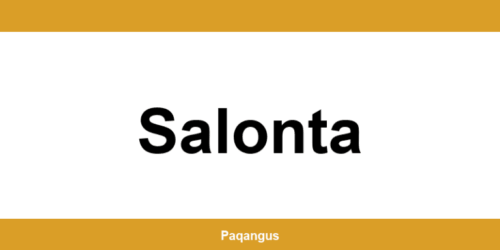 Contacte imediate Ship & Go Cargus din Salonta