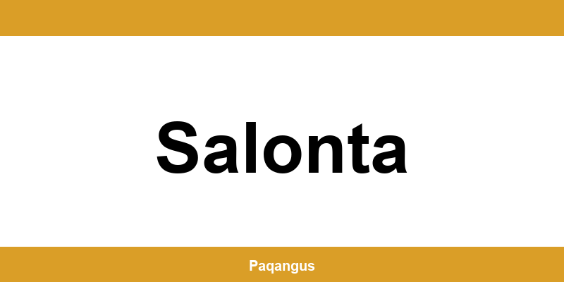Contacte imediate Ship & Go Cargus din Salonta