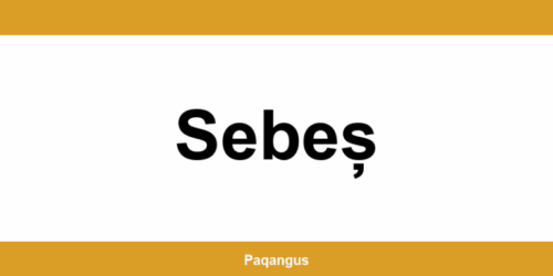 Contacte imediate Ship & Go Cargus din Sebeș