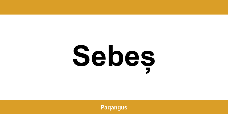 Contacte imediate Ship & Go Cargus din Sebeș
