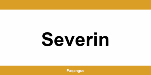 Contacte imediate Ship & Go Cargus din Severin