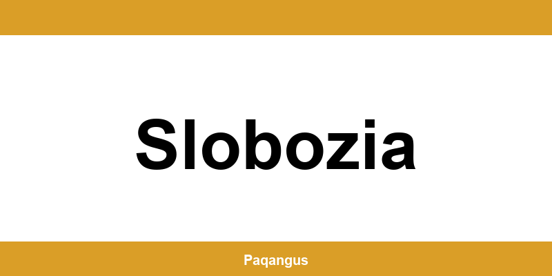 Contacte imediate Ship & Go Cargus din Slobozia
