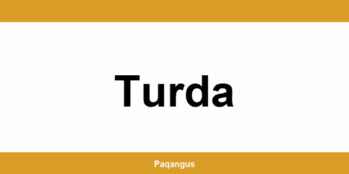 Contacte imediate Ship & Go Cargus din Turda
