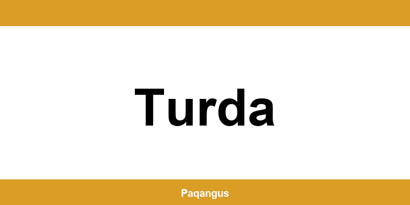 Contacte imediate Ship & Go Cargus din Turda