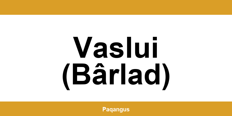 Contacte imediate Ship & Go Cargus din Vaslui (Bârlad)